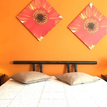 Edificio Sao Joao Areias Strip L Oura Lägenhet *